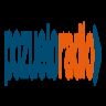 42308_pozuelo-radio.png