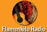 66225_flamenkito.png