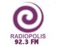98723_polis.png